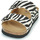 Shoes Women Mules Scholl JOSEPHINE Zebra