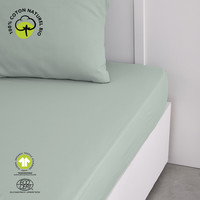 Home Fitted sheet Today DH 90/190+23 Coton TODAY Organic Celadon Celadon