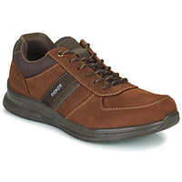 Shoes Men Low top trainers Rieker 14811-22 Brown