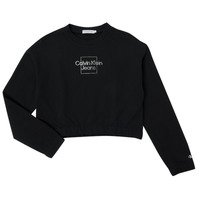 material Girl sweaters Calvin Klein Jeans METALLIC BOX LOGO SWEATSHIRT Black