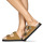 Shoes Women Mules Schmoove LUCIA BUCKLE Camel