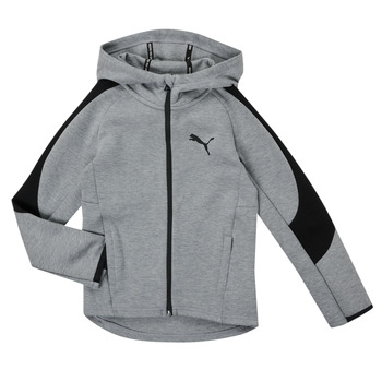 material Boy sweaters Puma EVOSTRIPE CORE FZ HOODIE Grey