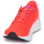 Shoes Women Running shoes New Balance ARISHI Red / Pink