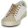 Shoes Women Low top trainers Le Temps des Cerises SOHO White / Beige / Gold