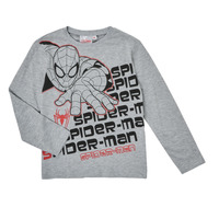 Clothing Boy Long sleeved shirts TEAM HEROES  T-SHIRT SPIDER-MAN Grey
