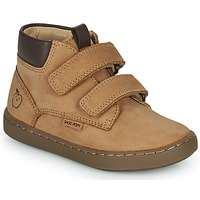 Shoes Boy High top trainers Shoo Pom PLAY DESERT SCRATCH Camel