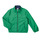 Clothing Boy Blouses Polo Ralph Lauren 323869360001 Green / Marine