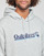 Clothing Men sweaters Quiksilver ALL LINED UP HOOD Grey