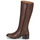 Shoes Women Boots Betty London GESSIE Brown