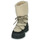 Shoes Women Snow boots Betty London MAGDA Black / Beige