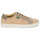 Shoes Women Low top trainers Dream in Green ACANTHE Beige