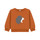 Clothing Boy sweaters Petit Bateau CARTABLE Brown
