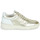 Shoes Women Low top trainers JB Martin HIRA Nappa / Gold / Chalk