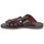 Shoes Men Sandals Pellet DAVID Veal / Brown / Dark