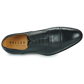 Pellet ALEX Veal / Oiled / Black