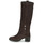 Shoes Women Boots Geox D GIULILA F Brown