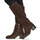 Shoes Women Boots Geox D GIULILA F Brown