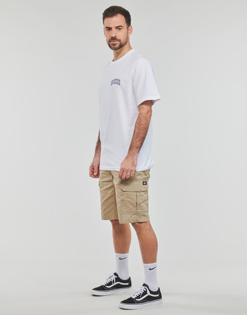 Dickies AITKIN CHEST TEE SS White