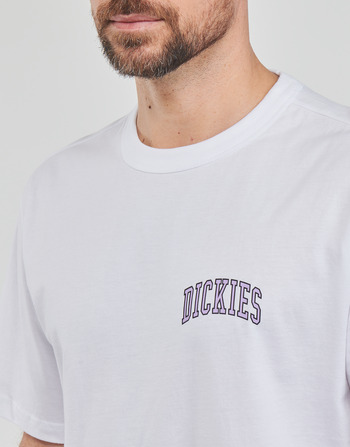 Dickies AITKIN CHEST TEE SS White
