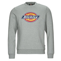 Clothing Men sweaters Dickies ICON LOGO SWEATSHIRT Grey