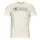 Clothing Men short-sleeved t-shirts Tom Tailor 1035611 Beige