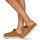 Shoes Women Mules UGG GOLDENSTAR CLOG Camel