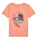 Clothing Boy short-sleeved t-shirts Name it NKMFICOLAJ SS TOP BOX Orange