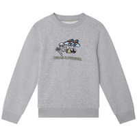 Clothing Boy sweaters Zadig & Voltaire  Grey / Clear