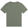 Clothing Boy short-sleeved t-shirts Timberland T25T87 Kaki