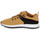 Shoes Men Low top trainers Timberland SPRINT TREKR LOW KNIT Brown / Black / White