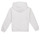 Clothing Boy sweaters Calvin Klein Jeans MINI BLOCK LOGO HOODIE White