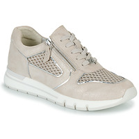 Shoes Women Low top trainers Caprice 23706 Beige / White