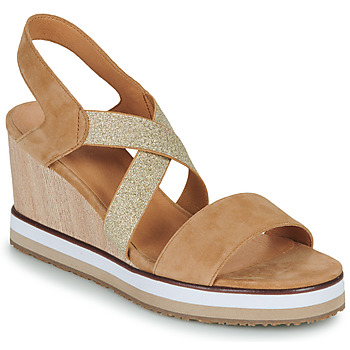 Shoes Women Sandals Mam'Zelle RIXEL Brown / Gold