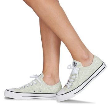 Converse CHUCK TAYLOR ALL STAR FLORAL OX Green / White
