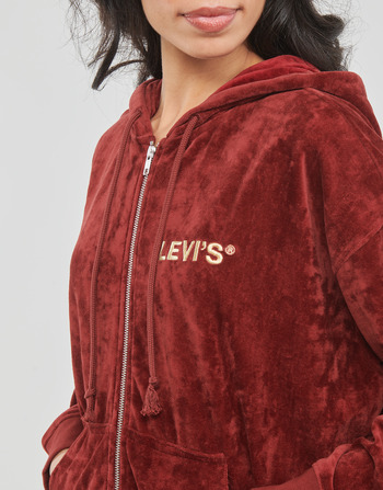 Levi's GRAPHIC LIAM HOODIE Brown