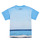 Clothing Boy short-sleeved t-shirts Desigual TS_ALBERT Blue