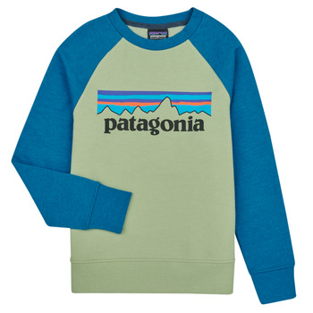 Clothing Children sweaters Patagonia K's LW Crew Sweatshirt Multicolour