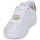 Shoes Women Low top trainers Lacoste POWERCOURT White / Gold