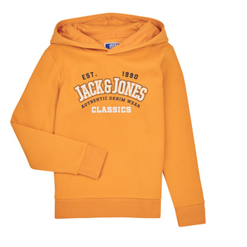 Clothing Boy sweaters Jack & Jones JJELOGO SWEAT HOOD 2 COL 23/24 JNR Yellow