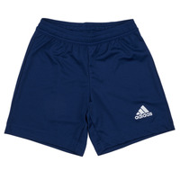 Clothing Boy Shorts / Bermudas adidas Performance ENT22 SHO Y Team / Navy / Blue