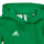 Clothing Children sweaters adidas Performance ENT22 HOODY Y Green