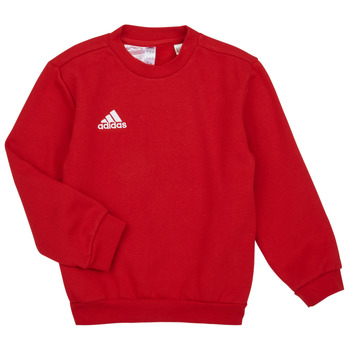 Clothing Children sweaters adidas Performance ENT22 SW TOPY Team / Power / Red