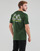 Clothing Men short-sleeved t-shirts Vans SOUNDS FROM BELOW SS TEE Green