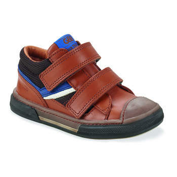 Shoes Boy High top trainers GBB VICTORIC Brown