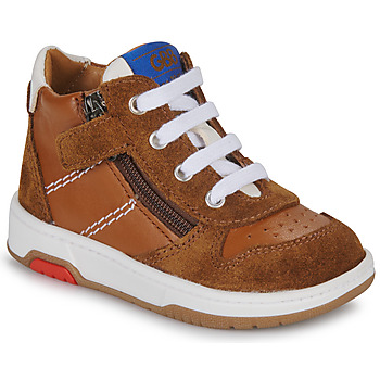 Shoes Boy High top trainers GBB VALDECK Brown