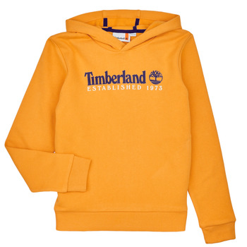 Clothing Boy sweaters Timberland T25U56-575-C Yellow