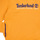 Clothing Boy sweaters Timberland T25U56-575-J Yellow