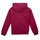 Clothing Girl sweaters Levi's LVG POSTER LOGO HOODIE Violet