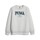 Clothing Boy sweaters Puma PUMA SQUAD CREW FL B Grey