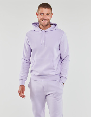 Clothing Men sweaters Polo Ralph Lauren SWEATSHIRT CAPUCHE LOGO CENTRAL EN DOUBLE KNIT TECH Mauve / Flower / Purple